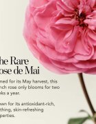 Chantecaille Rose de Mai Lip Balm hydratační balzám na rty 2.5 g