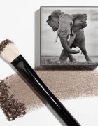 Chantecaille Shade and Sweep Eye Brush plochý štětec na oční stíny 1 ks
