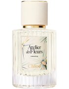 Chloé Atelier des Fleurs Cedrus parfémovaná voda pro ženy 50 ml