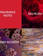 Christina Aguilera Cherry Noir parfémovaná voda pro ženy 15 ml