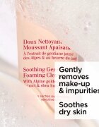 Clarins Cleansing Soothing Gentle Foaming Cleanser jemná odličovací pěna se zklidňujícím účinkem 125 ml