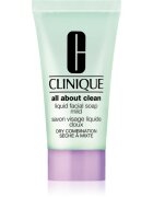 Clinique Liquid Facial Soap Mild tekuté mýdlo pro suchou a smíšenou pleť 30 ml