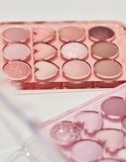 Colorgram Pin Point Eyeshadow Palette paletka očních stínů pro dokonalý vzhled odstín 01 Peach+Coral 9.9 g