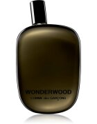 Comme des Garçons Wonderwood parfémovaná voda pro muže 100 ml