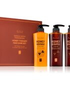 DAENG GI MEO RI Honey Therapy Professional Hair Care Set dárková sada pro výživu a hydrataci