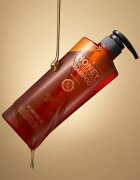 DAENG GI MEO RI Honey Therapy Professional Plus Shampoo regenerační šampon pro slabé a poškozené vlasy 500 ml