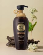 DAENG GI MEO RI New Gold Special Shampoo posilující šampon pro mastné vlasy 500 ml