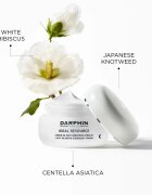 Darphin Ideal Resource Overnight Cream rozjasňující noční krém 50 ml