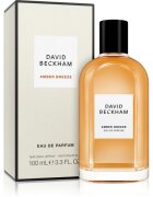 David Beckham Amber Breeze parfémovaná voda pro muže 100 ml