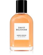 David Beckham Amber Breeze parfémovaná voda pro muže 50 ml