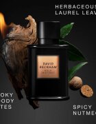 David Beckham Bold Instinct parfémovaná voda pro muže 75 ml