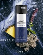 David Beckham Classic Blue deodorant ve spreji pro muže 150 ml
