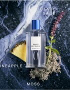 David Beckham Classic Blue toaletní voda pro muže 100 ml