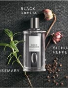 David Beckham Classic Homme toaletní voda pro muže 100 ml