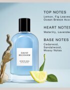 David Beckham Infinite Aqua parfémovaná voda pro muže 100 ml