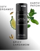 David Beckham Instinct deodorant ve spreji pro muže 150 ml