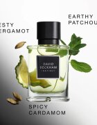 David Beckham Instinct parfémovaná voda pro muže 75 ml