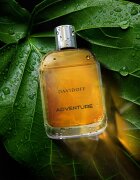Davidoff Adventure toaletní voda pro muže 100 ml