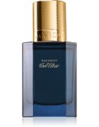 Davidoff Cool Elixir Parfum Intense parfém pro muže 30 ml