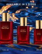 Davidoff Cool Elixir Safran Mineral parfém intense pro muže 100 ml