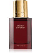 Davidoff Cool Elixir Safran Mineral parfém intense pro muže 30 ml