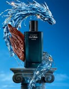 Davidoff Cool Water Parfum parfém pro muže 100 ml