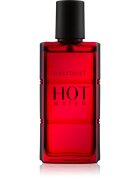 Davidoff Hot Water toaletní voda pro muže 60 ml