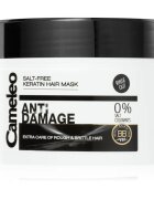 Delia Cosmetics Cameleo BB keratinová maska pro poškozené vlasy 200 ml
