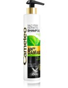 Delia Cosmetics Cameleo BB keratinový šampon pro poškozené vlasy 250 ml