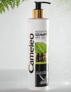 Delia Cosmetics Cameleo BB keratinový šampon pro poškozené vlasy 250 ml