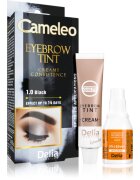 Delia Cosmetics Cameleo krémová profesionální barva na obočí bez amoniaku odstín 1.0 Black 15 ml