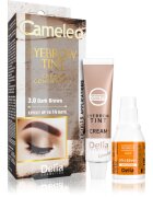 Delia Cosmetics Cameleo krémová profesionální barva na obočí bez amoniaku odstín 3.0 Dark Brown 15 ml