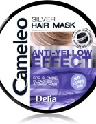 Delia Cosmetics Cameleo Silver maska na vlasy neutralizující žluté tóny 200 ml