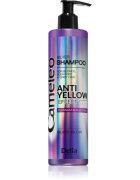Delia Cosmetics Cameleo Silver šampon neutralizující žluté tóny 250 ml