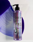 Delia Cosmetics Cameleo Silver šampon neutralizující žluté tóny 250 ml