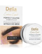 Delia Cosmetics Eyebrow Expert fixační vosk na obočí odstín Black 10 ml