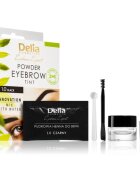 Delia Cosmetics Eyebrow Expert tónovací barva na obočí odstín 1.0 Black 4 g