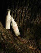 Delia Cosmetics Forest Blend regenerační tělové mléko 300 ml