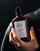 DEPOT 100 HAIR CLEANSING NO. 102 PURIFYING & SEBUM CONTROL šampon pro obnovení rovnováhy mastné pokožky hlavy 250 ml