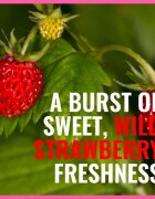 Dermacol Aroma Moment Wild Strawberries svěží sprchový gel 250 ml
