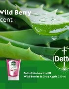 Dettol Energise Liquid Hand Wash Wild Berries & Crisp Apple náplň do bezdotykového dávkovače mýdla 250 ml