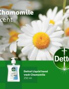 Dettol Soft on Skin Gentle Chamomile tekuté mýdlo na ruce 250 ml