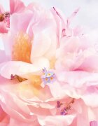 DIOR Miss Blooming Bouquet Roller-Pearl toaletní voda roll-on pro ženy 20 ml