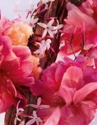 DIOR Miss Parfum Mini Miss tuhý parfém pro ženy 3.2 g