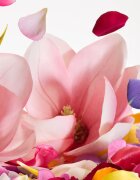 Dolce&Gabbana Dolce Magnolia parfémovaná voda pro ženy 50 ml