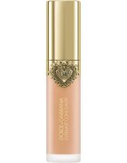 Dolce&Gabbana Everlast Concealer dlouhotrvající korektor odstín 14 Light Medium - Peach Undertones 11 ml