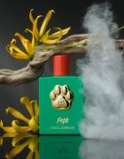 Dolce&Gabbana Fefé fragrance mist for dogs parfémovaná mlha unisex 100 ml