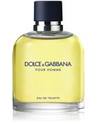 Dolce&Gabbana Pour Homme toaletní voda pro muže 125 ml