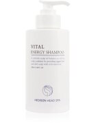 Dr. HEDISON Vital Energy šampon na vlasy a vlasovou pokožku 280 ml