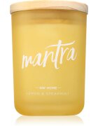 DW Home Zen Mantra vonná svíčka 213 g